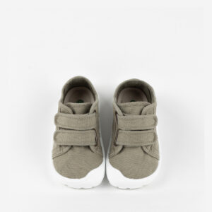 Lonas Victoria Bosco Aloe